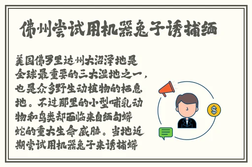 真女神侦探在线播放